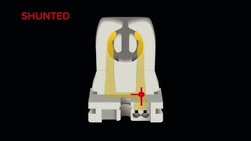 Lighting - What’s the difference between shunted and non shunted sockets