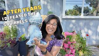 I tried EVERYTHING to stop Squirrels...here's what actually WORKED!