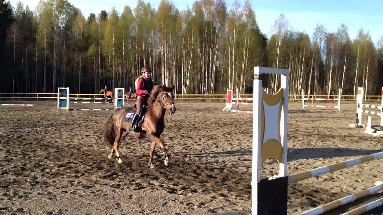 Woody og Iselin. sprangtrening 29 april. Danka trening_5