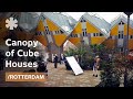 Cube House Architecture Quiz
