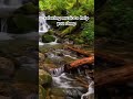 #relaxingpianomusic #เพลงบรรเลงเพราะๆ เสียงเปียโน น้ำไหล ผ่อนคลาย-relaxing music to help you sleep