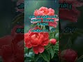 #வாக்குத்தத்த வசனம்# சங்கீதம் 89 : 24(b)#