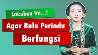 Cara Menggunakan Bulu Perindu Tanpa Mantra Agar Berfungsi