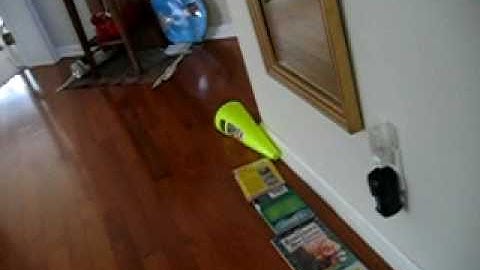 Cool HEXBUG Nano Track!