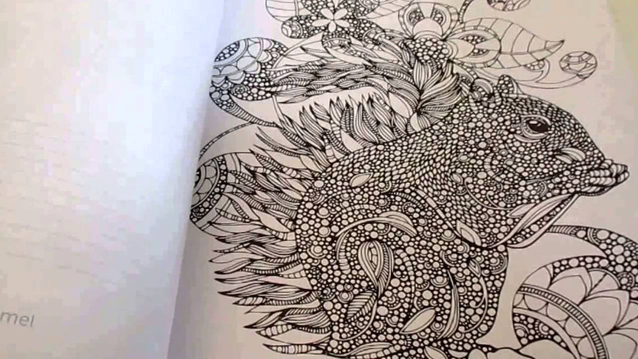 Creative Coloring - Animals - Adult Coloring Book Review 
