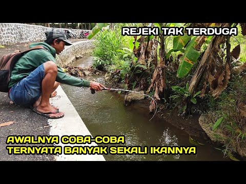 Panen Raya! Mancing Di Selokan Ternyata Banyak ikanya #LM04