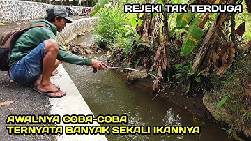 Panen Raya! Mancing Di Selokan Ternyata Banyak ikanya #LM04