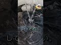 洗濯物がゴワゴワで肌が痒い！柔軟剤の使いすぎは大損する消臭神業。 #洗濯 #おすすめ #裏技 #暮らしの知恵 #主婦の知恵