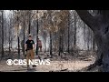Georgia homes scorched in wildfires as firefighters continue battling flames