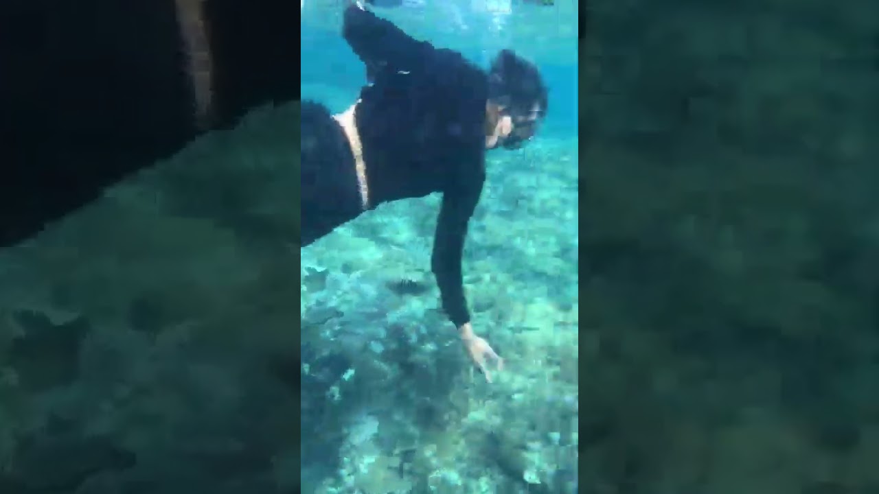 Part 5 - Calayan Island Fishing Activity under the water 