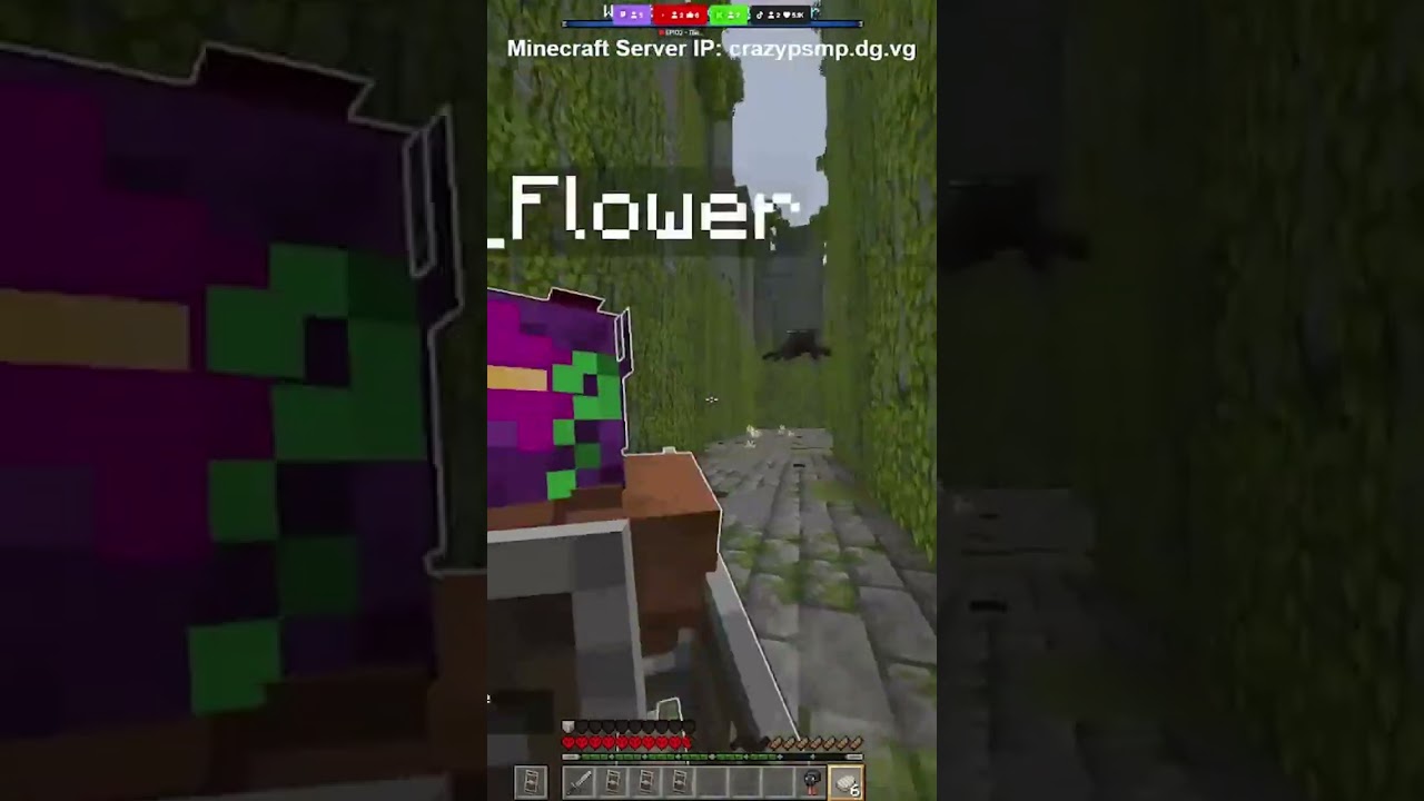 Μας πάνε σε αδιέξοδο πάλι #minecraft #smp #greek #server #vanilla