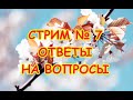 Стрим № 7