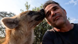 How to Survive in a Clan of BITING HYENAS | The Lion Whisperer