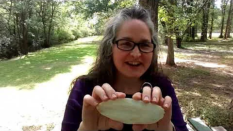 Cuttlebone for Casting with kristina malcolm