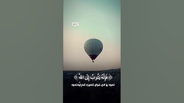 قرآن كريم راحة نفسية❤️🫸#راحة_نفسية #تفاعل #لايك #متابعين #قران_كريم #اكسبلور #100الف