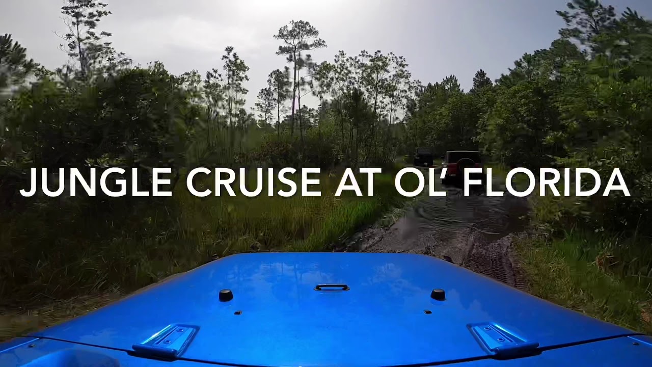 Ol Florida Jungle Cruise Trail Youtube