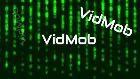 VidMob Introductory Video