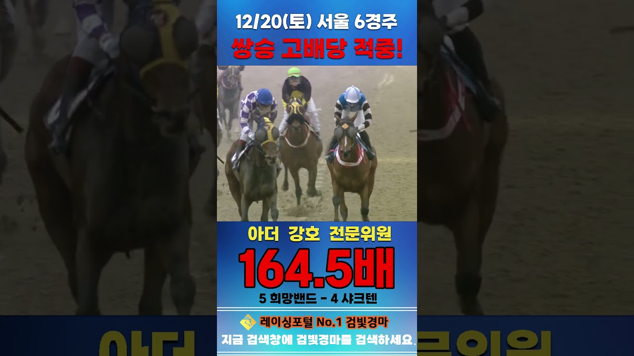 [서울 경마] 12월 20일 토요 6경주 아더 강호 전문위원 쌍승 고배당 적중 #경마 #automobile #한국마사회 #경마 #한국마사회 #horse