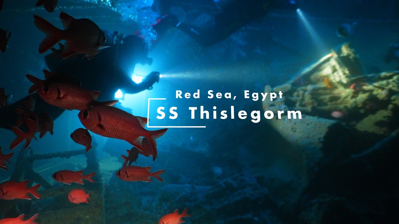 SS Thislegorm. Egypt 🇪🇬