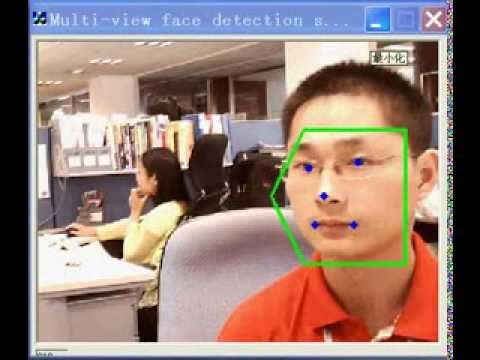 Multi-View Key Facial Landmark Detection by VIPL (http://vipl.ict.ac.cn/), ICT-CAS.