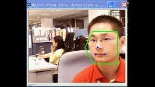 Multi-View Key Facial Landmark Detection by VIPL (http://vipl.ict.ac.cn/), ICT-CAS.