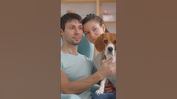 5 Common Mistakes Every Pet Parent Must Avoid