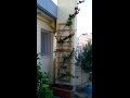 DIY reclaimed pallet wooden trellis how to Simply Make it ... DIY reclaimed pallet wooden trellis how to Simply Make it ...