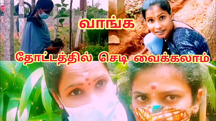 வாங்க நம்ம தோட்டத்துல செடி வைக்கலாம் 👍🌳🌴🍀🌹🌾🌼