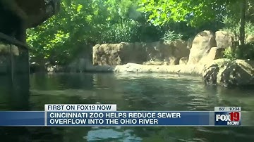 Cincinnati Zoo helps reduce sewer overflow in Hamilton County