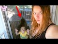 Scary Videos That Will Terrify You!