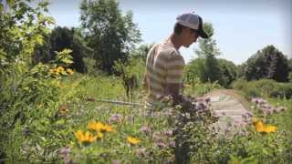 What Is Citizen Science? Driven To Discover Citizen Science Project