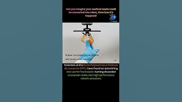 Living Machines: EPFL Turns Crustacean Shells into Powerful Bio-Hybrid Robots