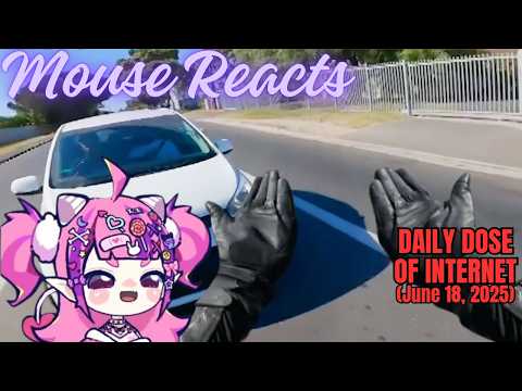 Mouse Reacts to Daily Dose of Internet: Humans Are Getting Dumber (June 18, 2025)