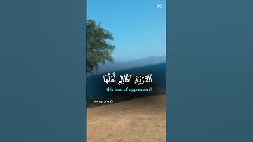 سورة النساء#قرآن #quran #اكسبلور