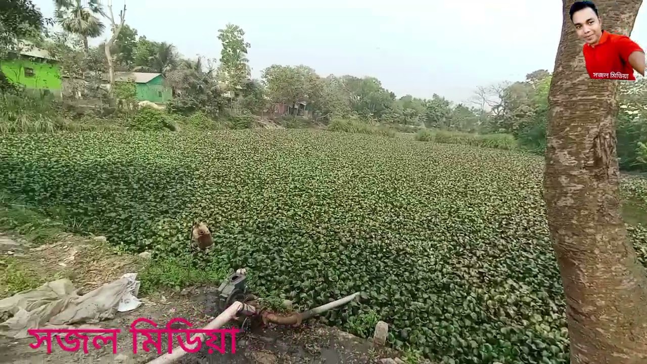 চিনাইর পূর্ব পাড়া আমাদের গ্রাম 