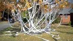 Vandalism Insurance Video
