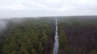 Туманный лес. Аэросъемка