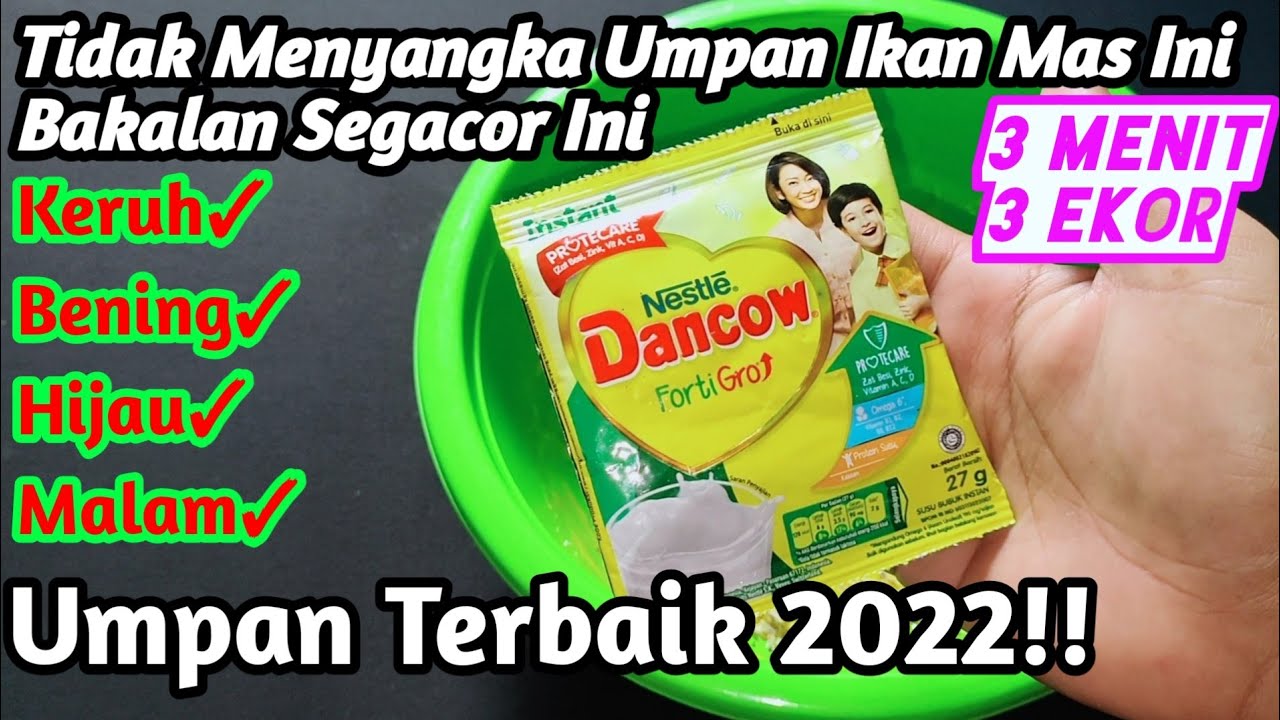 Resep Terbaru!! Asli Tidak Menyangka Bakalan Segacor Ini/Umpan Sadis