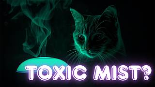 Stop Using Essential Oils Until You Watch This!