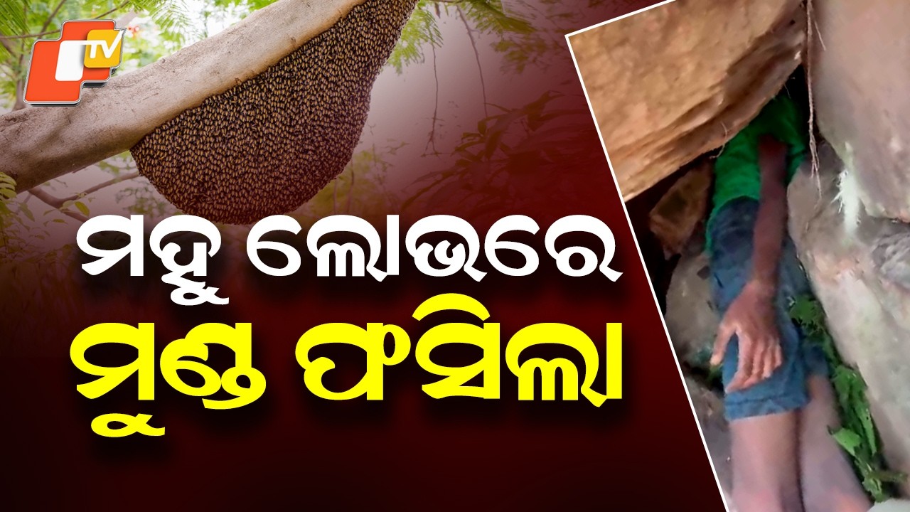 Minor Trapped in Rock While Collecting Honey, Rescue Operation Underway in Nayagarh