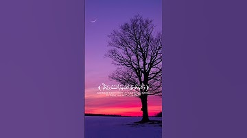 قرآن كريم 🌿تلاوة من سورة الأعراف 🌿القارئ محمد النقيدان #قرآن #اكسبلور #راحة_نفسية