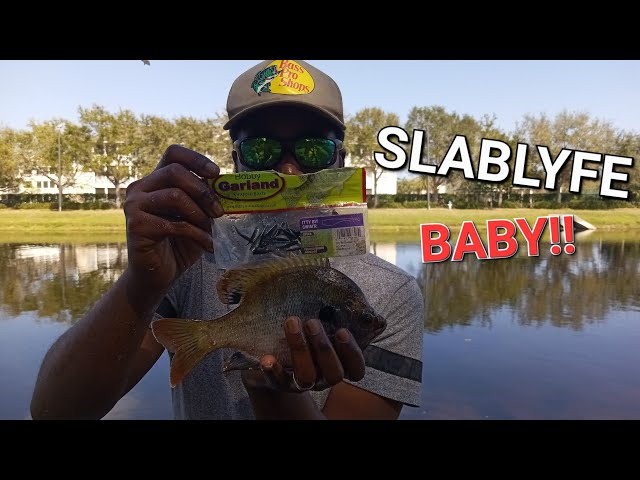 Big Bluegill Fishing with Bobby Garland itty bitty swimmer jigs. 