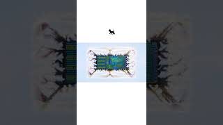 NVIDIA DGX Spark #maths #machinelearning #physics #ai #mathematics #viral #trending #instadaily