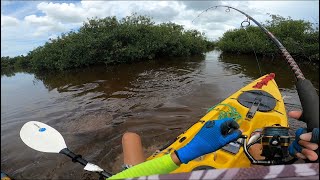 Big pine key tarpon