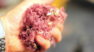 Making Magnetic Bottle Openers