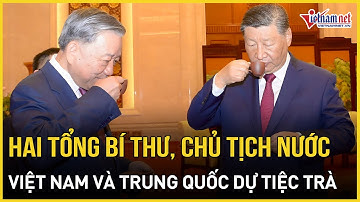 Hai Tổng Bí thư, Chủ tịch nước Việt Nam và Trung Quốc dự tiệc trà | Báo VietNamNet