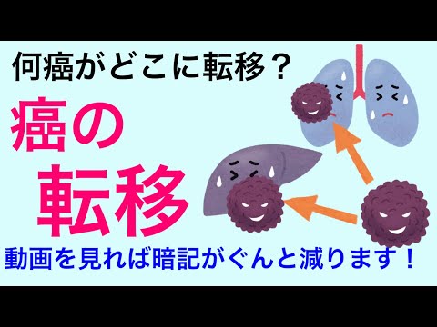 【７分で解説、６分で国試解説】癌の転移が理解できる