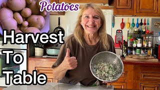 Growing Potatoes in Bucket EASY Potato Harvest and to the Kitchen Cooking w/ Celery& Walking Onions