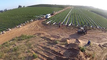 TBS Discovery CC3D on my way to the office