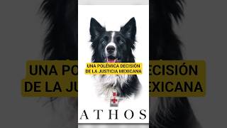 El caso de Athos y Tango, los perritos envenenados